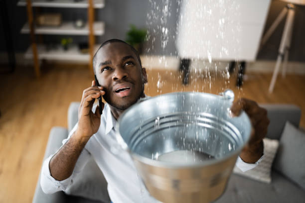 Best Professional water damage repair  in Crooked Lake Park, FL