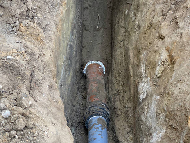Best Flood damage cleanup  in Crooked Lake Park, FL
