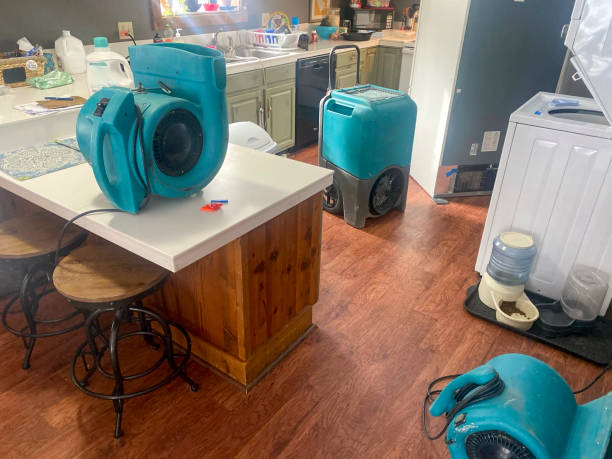 Best Water damage mitigation services  in Crooked Lake Park, FL
