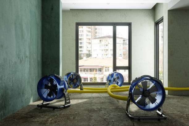 Best Mold removal after water damage  in Crooked Lake Park, FL